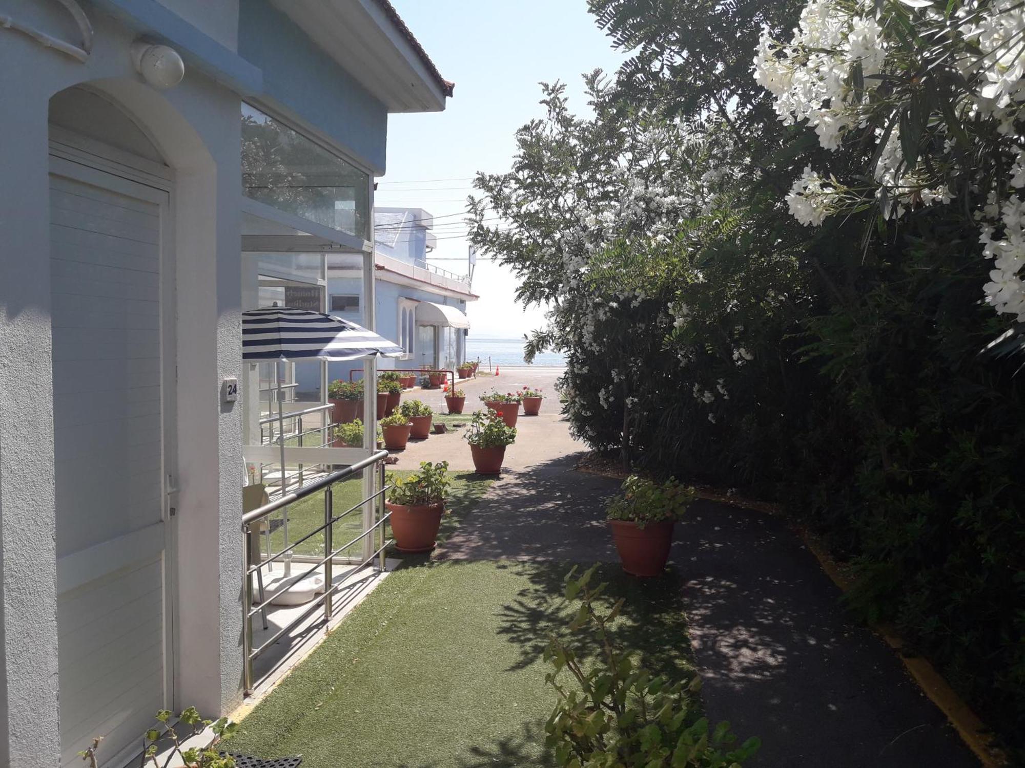 Homely Studios Chios Town Zewnętrze zdjęcie